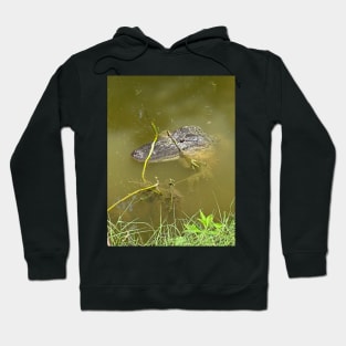 Alligator Hoodie